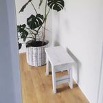 SOLD - Rustic Little Shaker Inspired Bench Seat