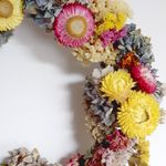 Petal Party
